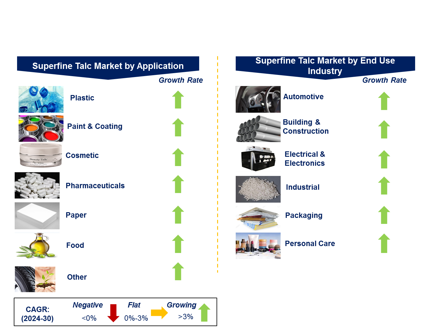 Superfine Talc Market by Segment